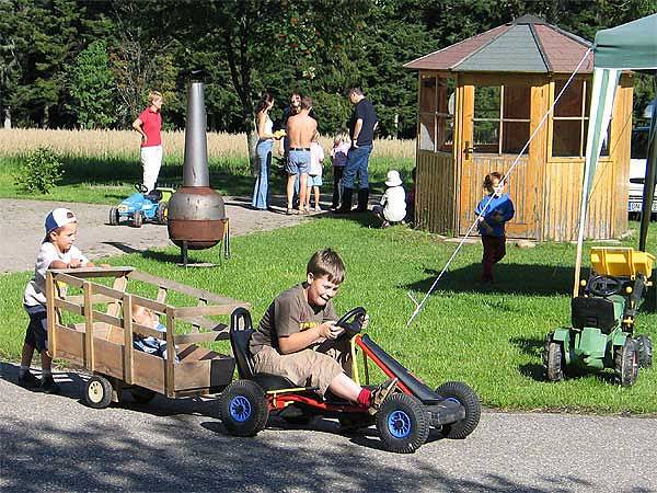 Location de vacances pour 3 personnes, avec jardin et balcon à Schramberg - 2