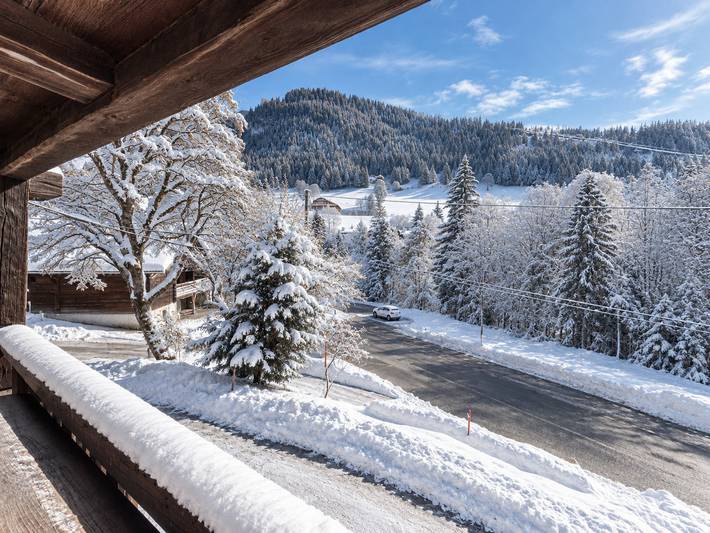 Chalet saboyano renovado, 10 pers, cerca de pistas, se admiten mascotas in La Clusaz, Región de Annecy