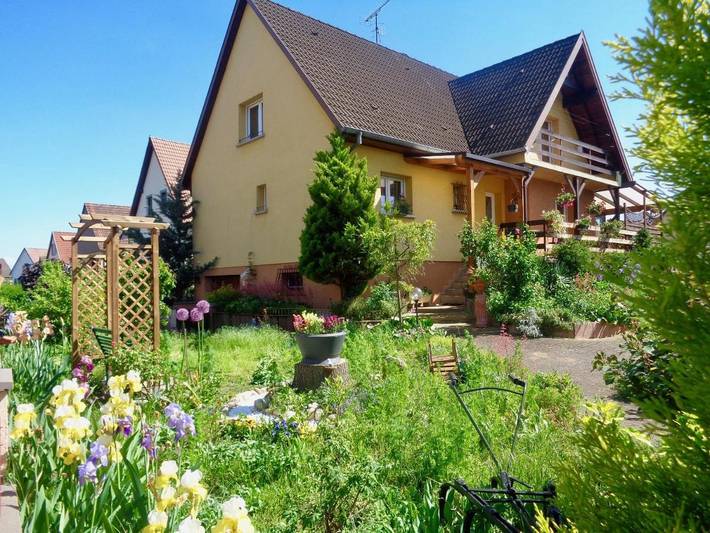 Chambre d’hôte pour 2 personnes, avec Terrasse ainsi que Jardin et Vue à Ammerschwihr