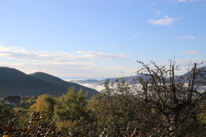 Location de vacances pour 8 personnes, avec terrasse et vue, animaux acceptés dans Station de Markstein Grand-Ballon - 3