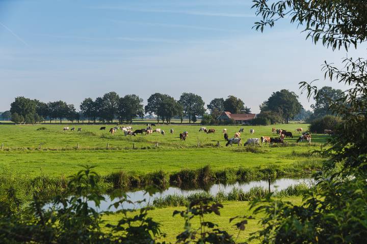 Vakantiepark Mölke — River Lodge 'Wellnesshuus' mit Whirlpool, Sauna, Badewanne und Sonnendusche | 2 Pers. in Sallandse Heuvelrug