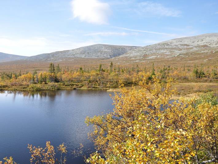 Hus för 4 Personer med bastu in Jämtland