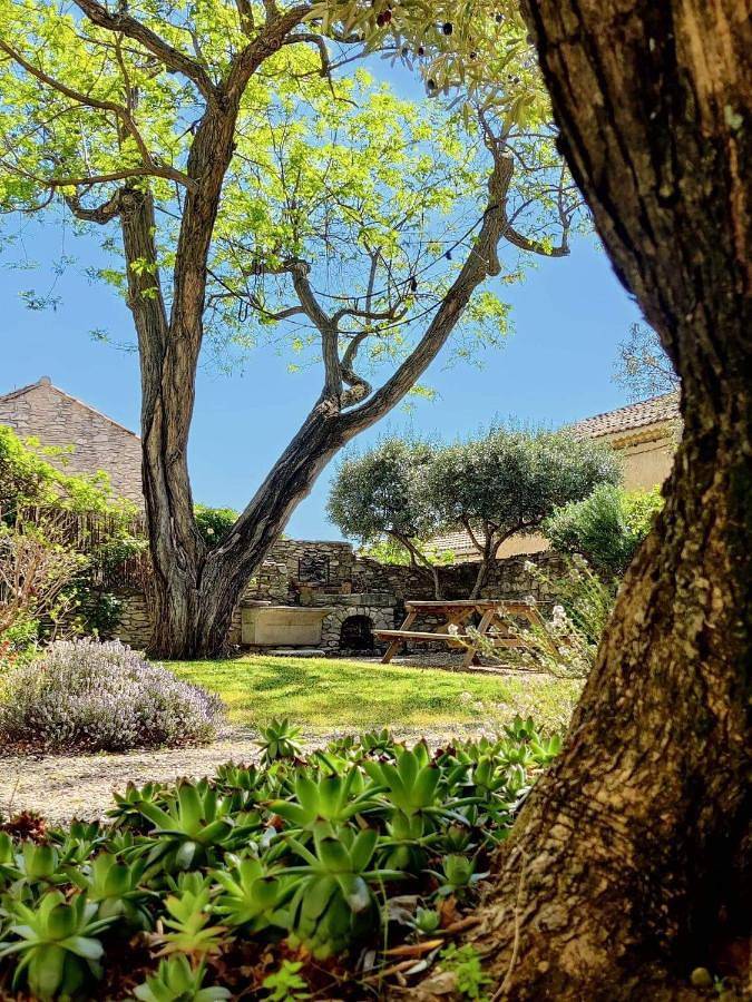 Gîte pour 4 personnes, avec jardin et terrasse à Tavel - 4