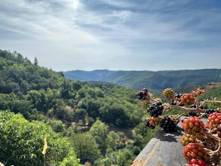 Location de vacances pour 7 personnes, avec Balcon et Terrasse ainsi que Jardin et Vue à Saint-Vincent-d'Olargues