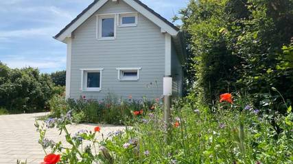Ferienhaus für 5 Personen, mit Terrasse im Nationalpark Eifel
