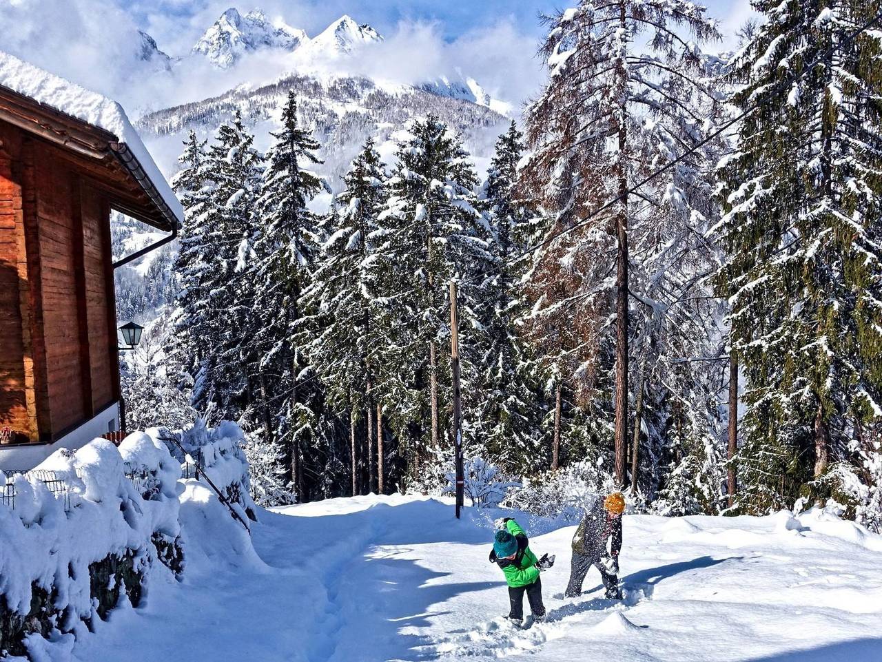 Almchalet Goldbergleiten - Almchalet in Großkirchheim, Oberkärnten