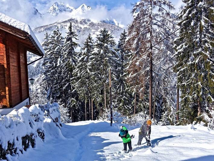 Almchalet Goldbergleiten - Almchalet in Hohe Tauern, Großkirchheim