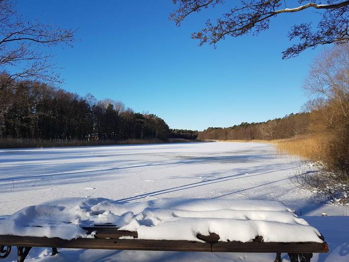 Ferienhaus für 5 Personen, mit Garten und Terrasse in Prerow - 3