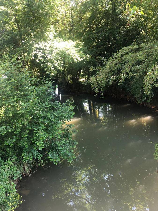 Maison d’hôte pour 5 personnes, avec vue dans le Jura - 2