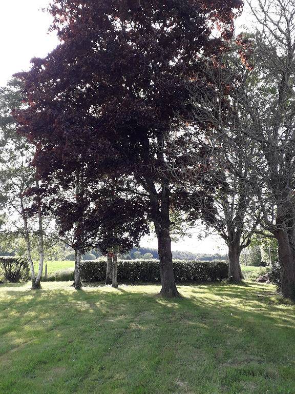 Chambres d'hôtes ou gîte - Chambre Pivoine in Tourouvre, Parc naturel régional du Perche