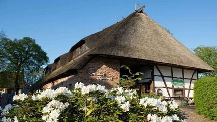 Ferienhaus für 4 Personen, mit Garten in Bastorf