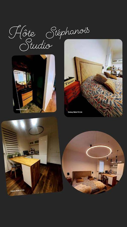Appartement entier, One-Bedroom Apartment in Saint-Étienne, Parc Naturel Régional du Pilat