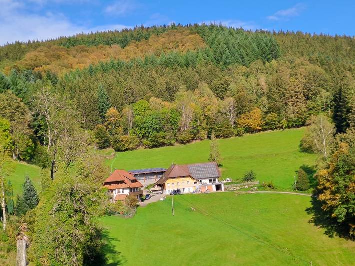 Ferienwohnung für 5 Personen, mit Balkon in Wolfach