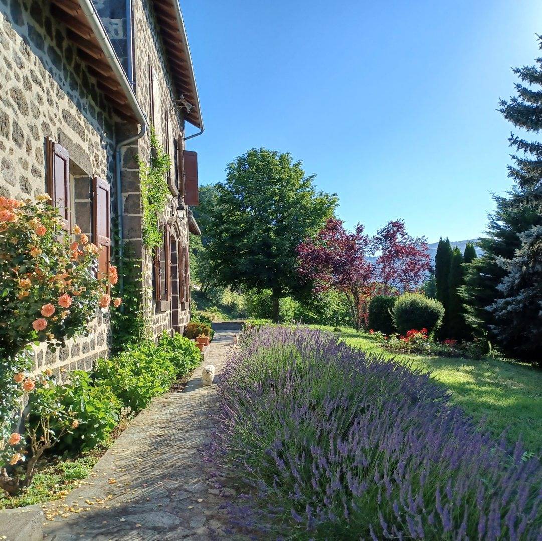 La Grange de Lily chambres d'hôtes - Iris in Vic-sur-Cère, Région d'Aurillac