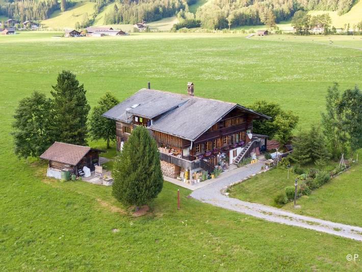 Ferienwohnung für 5 Personen, mit Balkon und Garten im Berner Oberland