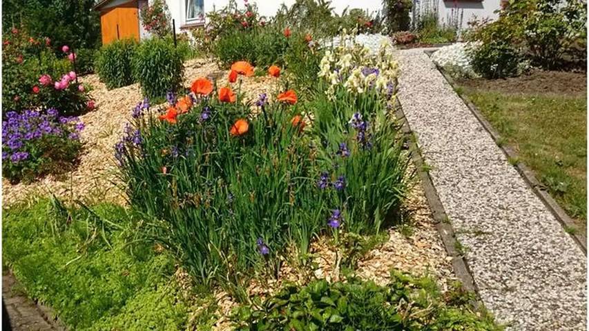 Ferienwohnung für 3 Personen, mit Garten in Krautsand - 4