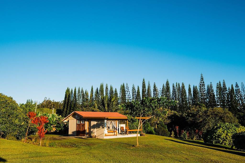 Hulili Tropical Fruit Farm - * Neu * Ananas Cottage in Hakalau, Hamakua