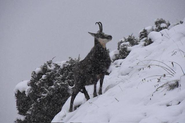 Location de vacances pour 8 personnes, avec vue à Sollières-Sardières - 2