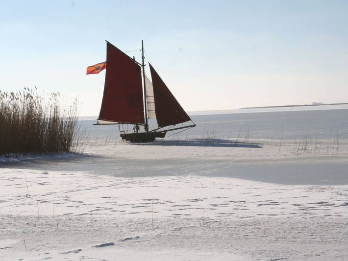 Ferienwohnung für 4 Personen, mit Garten in Wustrow - 4