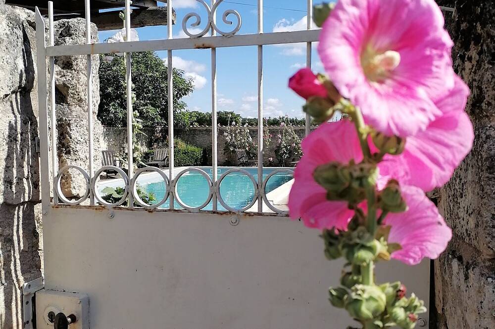 Pigeonnier - Traditional Farmhouse near La Rochelle. beaches 20 mins and a pool. in Landrais, Région de Rochefort