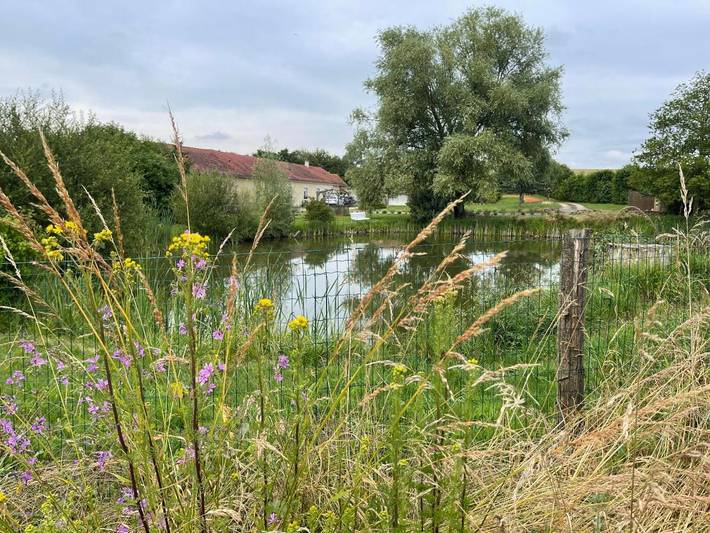 Gîte pour 2 personnes, avec terrasse et vue ainsi que jardin et piscine à Durtal - 3