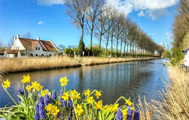 Ferienhaus für 6 Personen in Damme (Belgien) - 3