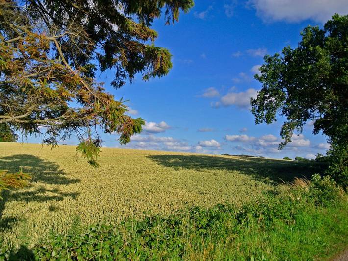 Ferienhaus für 4 Personen, mit Terrasse und Garten in Hejlsminde - 4