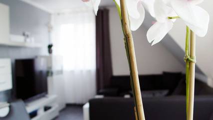 Ferienwohnung für 2 Personen in Lotte, Nordrhein-Westfalen, Bild 1