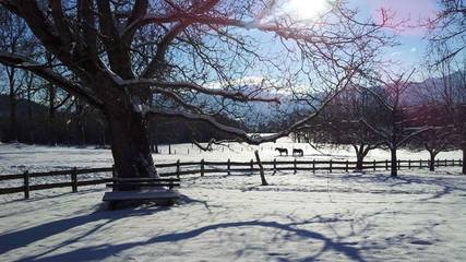 Bauernhof für 2 Personen, mit Balkon und Garten sowie Ausblick, kinderfreundlich am Tegernsee