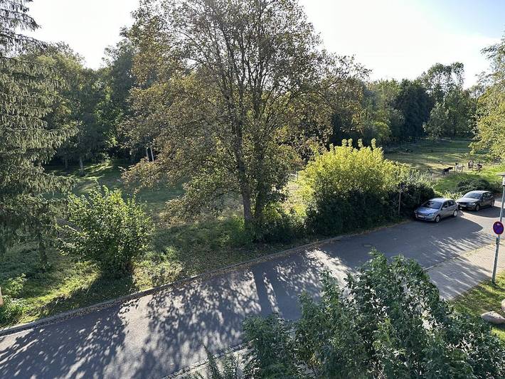 Ferienwohnung mit 1 Schlafzimmer in Tollensesee, Neubrandenburg