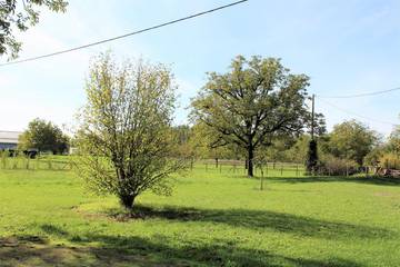 Gîte pour 5 Personnes dans Coulaures, Périgord Blanc, Photo 4