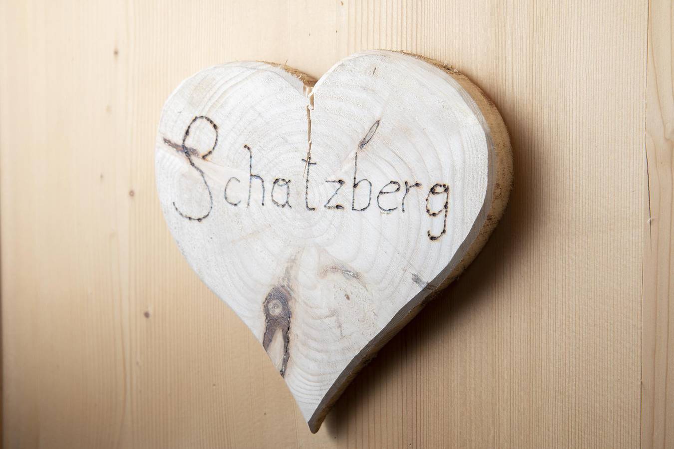Ganze Ferienwohnung, Appartement Schatzberg in Alpbach, Kaisergebirge