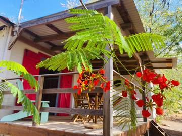 Gîte pour 2 personnes, avec jardin et vue à Capesterre-de-Marie-Galante