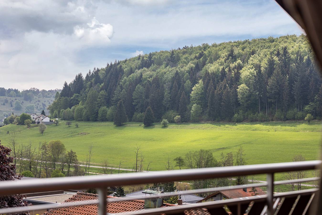 Ganze Wohnung, Apartment 'Haus Wacholderheide' mit Balkon und Wlan in Onstmettingen, Albstadt