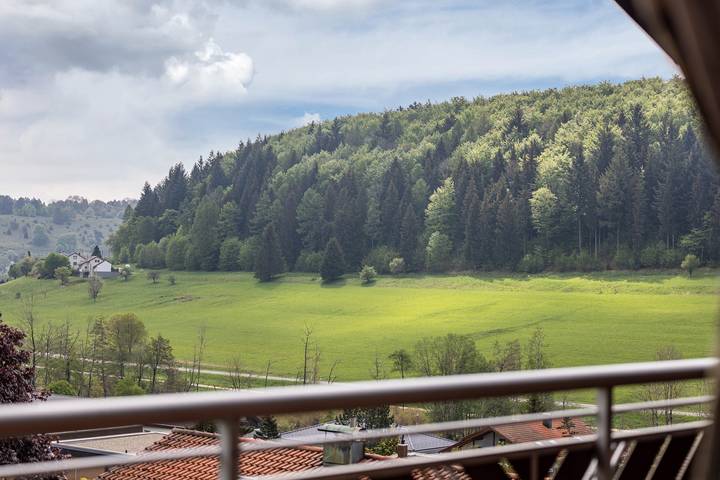 Hel lejlighed, Apartment 'Studio Wacholderheide' with Balcony and Wi-Fi in Onstmettingen, Albstadt