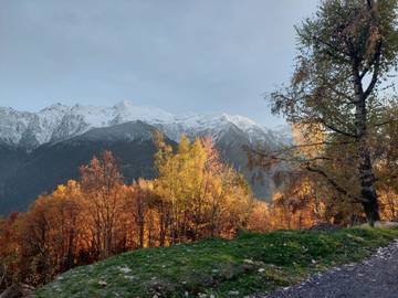 Chalet pour 5 Personnes dans Queige, Massif du Mont-Blanc, Photo 2
