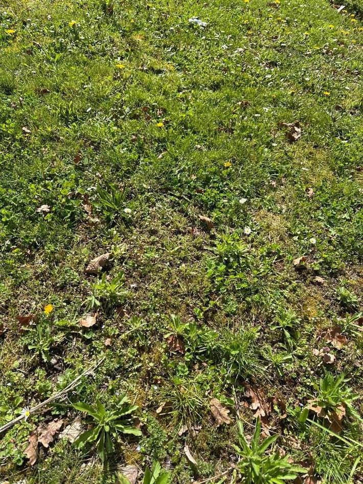 Location de vacances pour 5 personnes, animaux acceptés à Montbouy - 3