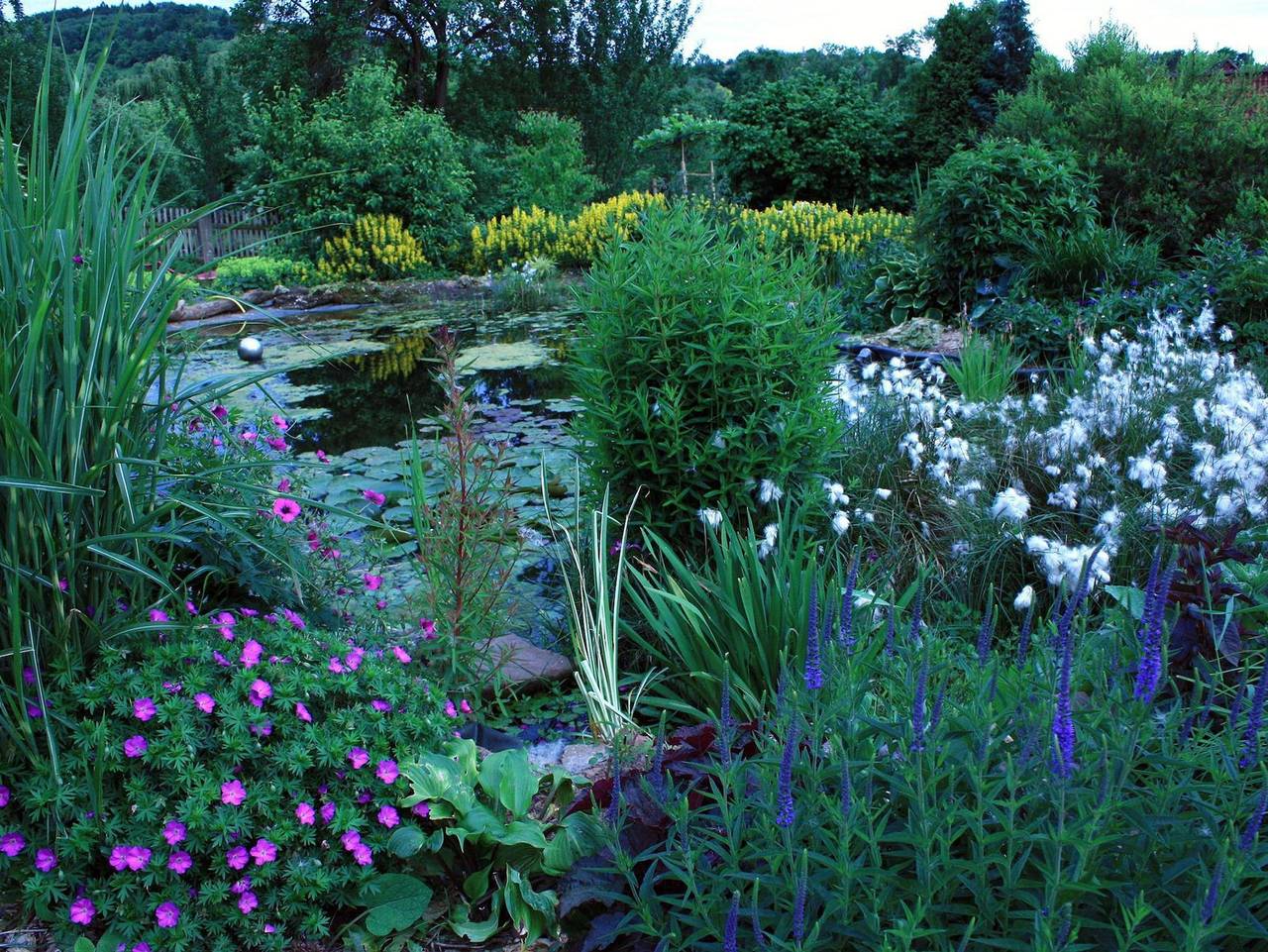 Gasthaus Winkelvoß - Ruhiges Doppelzimmer mit Dusche, Wc, 1 Schlafraum in Einbeck, Niedersachsen