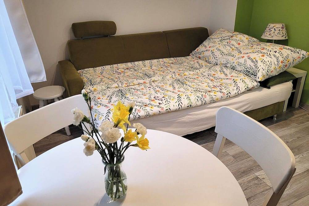 Ganze Wohnung, Ferienwohnung mit Garten haustierfreundlich Ostsee Insel Wolin Misdroy Polen in Stettiner Haff