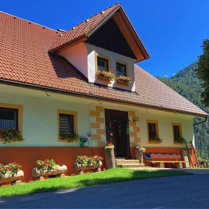 Gîte pour 4 personnes, avec Terrasse ainsi que Jardin et Vue à Solčava