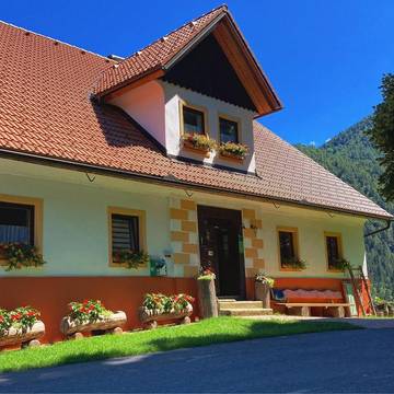 Gîte pour 4 personnes, avec jardin et vue, animaux acceptés à Solčava