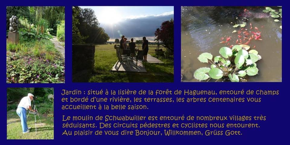 Gîte pour 4 personnes, avec Balcon et Terrasse ainsi que Jardin et Vue à Betschdorf - 3