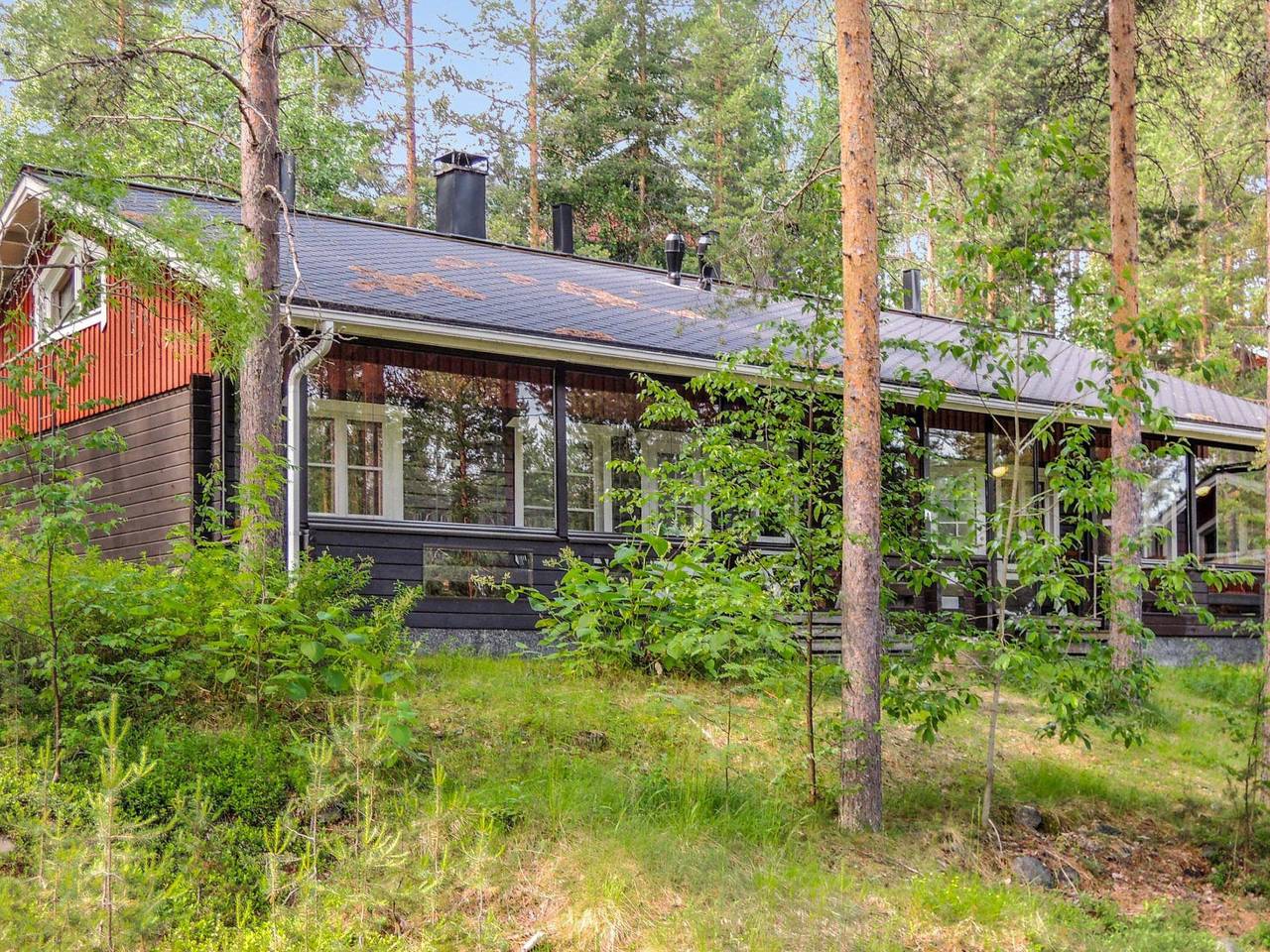 Luppo-koli in Loma-Koli, Pielinen
