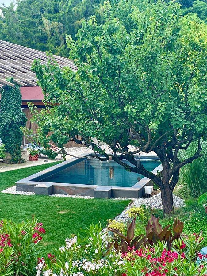 Chambre d’hôte pour 2 personnes, avec Jardin ainsi que Piscine et Vue à Solferino