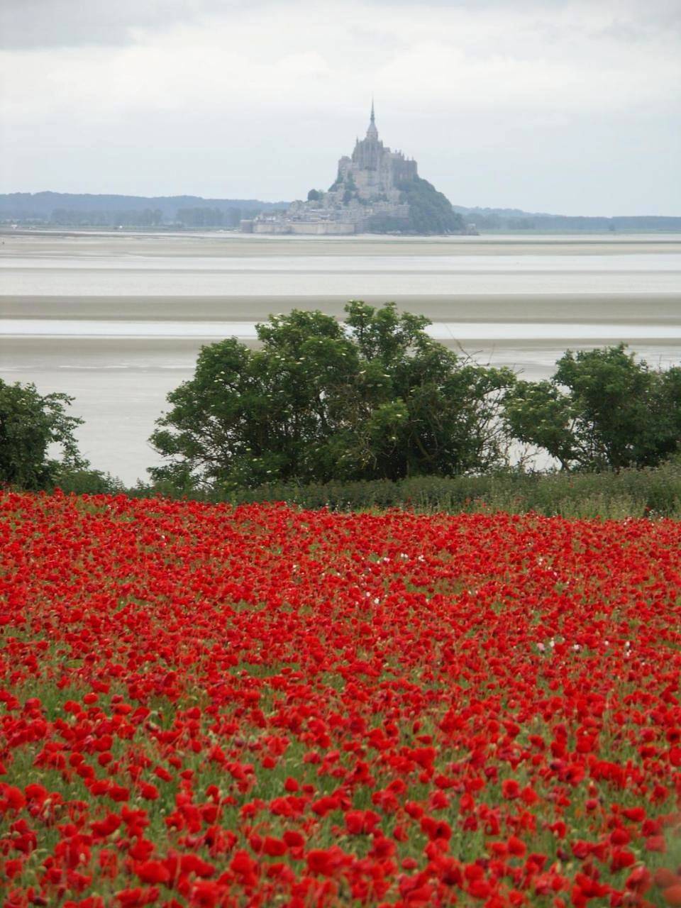 St Michel in Vains, Baie du Mont-Saint-Michel