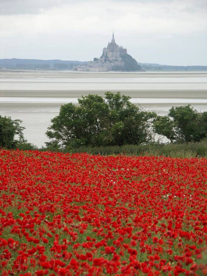 Location de vacances pour 9 personnes, avec jardin à Vains - 2