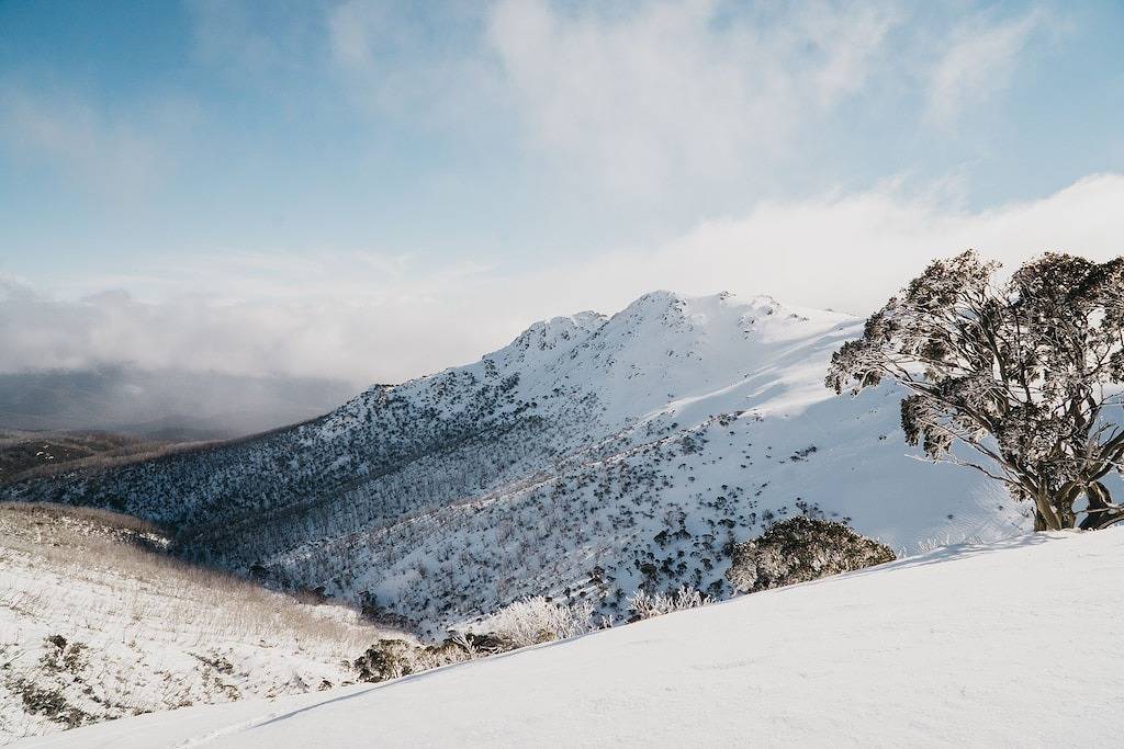 Wildenmann Hütte Tiroler Ost Jindabyne in East Jindabyne, New South Wales