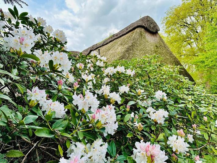 Ferienhaus für 4 Personen, mit Ausblick und Garten, mit Haustier in Worpswede