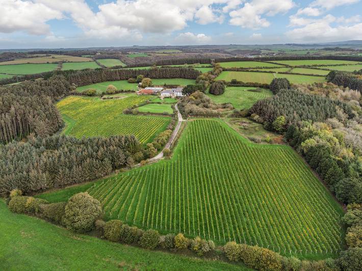 Tregoninny Vineyard and Woodland Farmhouse in Cornwall