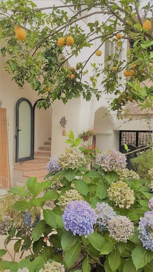 One-Bedroom Apartment in Sorrento, Sorrento Coast